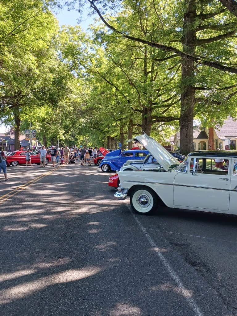 row of vintage cars at the Razz and Shine car show Lynden WA. Cars lining front street under canopy of pin oak trees