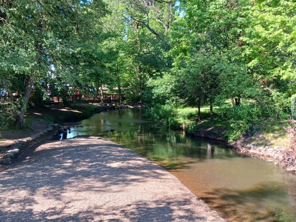 shallow creek with brown water and gravel creek bed in the sunshine; green deciduous trees canopy the water; lynden city park