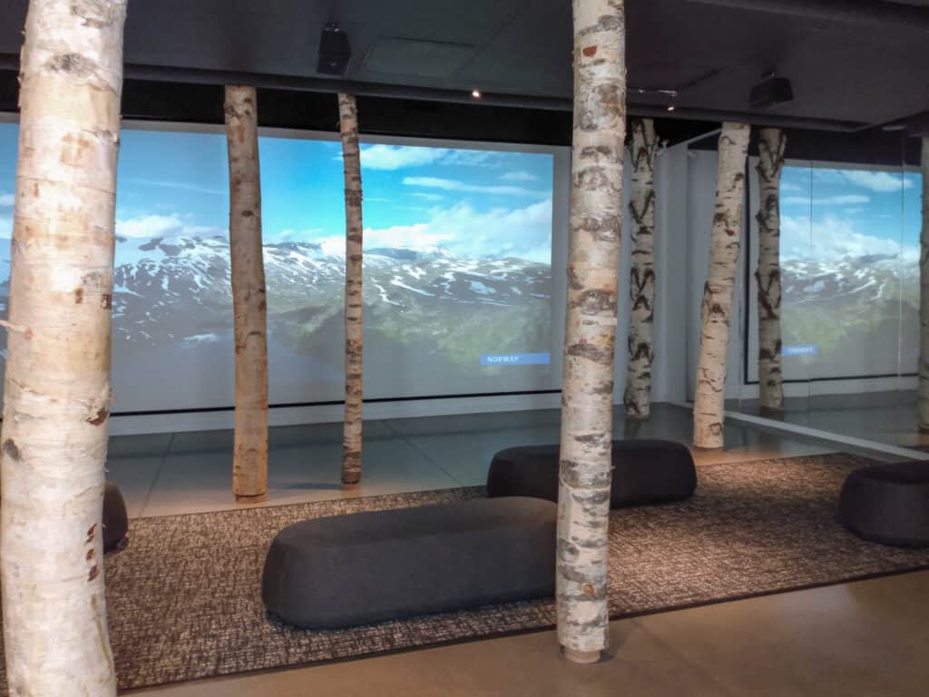 birch tree logs in a room with cushioned seats and carpet, in background is a screen with snow capped mountain imagery
