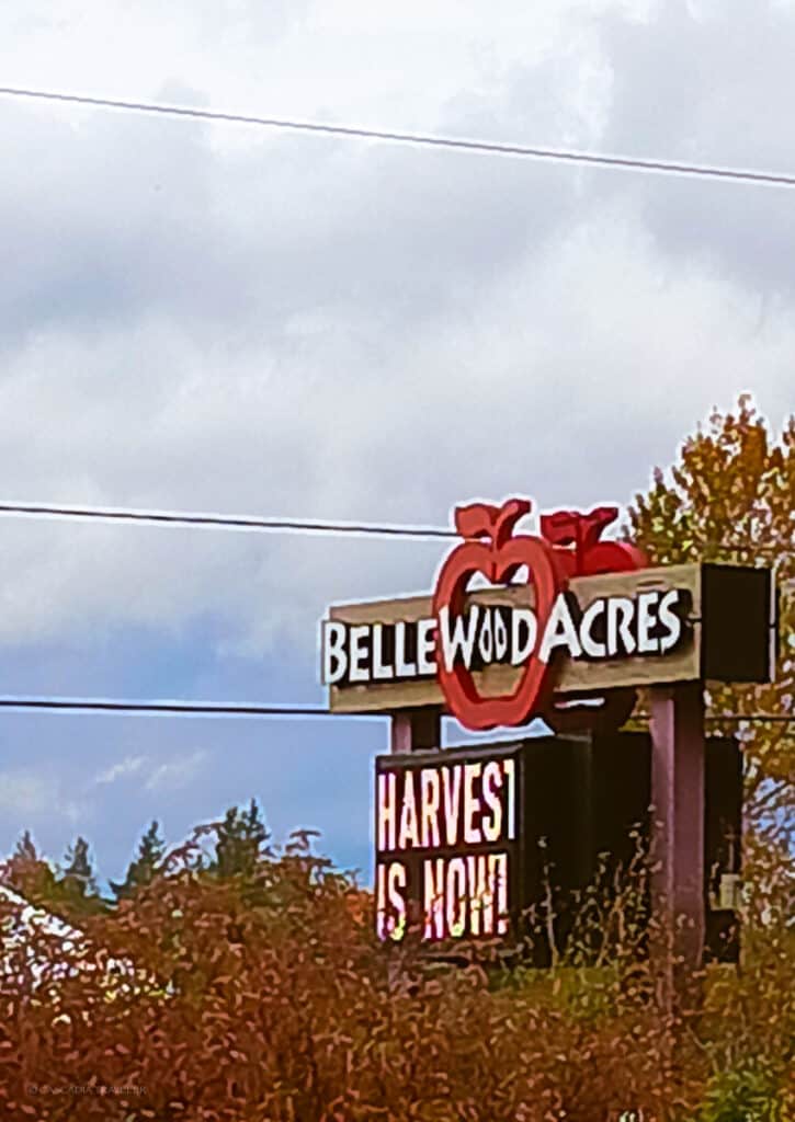 cloudy sky with sign for Bellewood acres in foreground and trees with fall colored leaves
