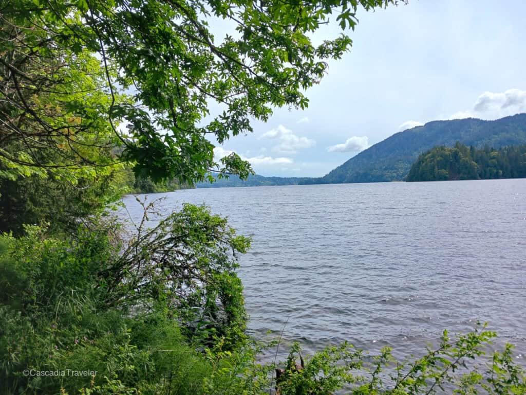 view of Lake Whatcom from Hertz trail with hill in the background