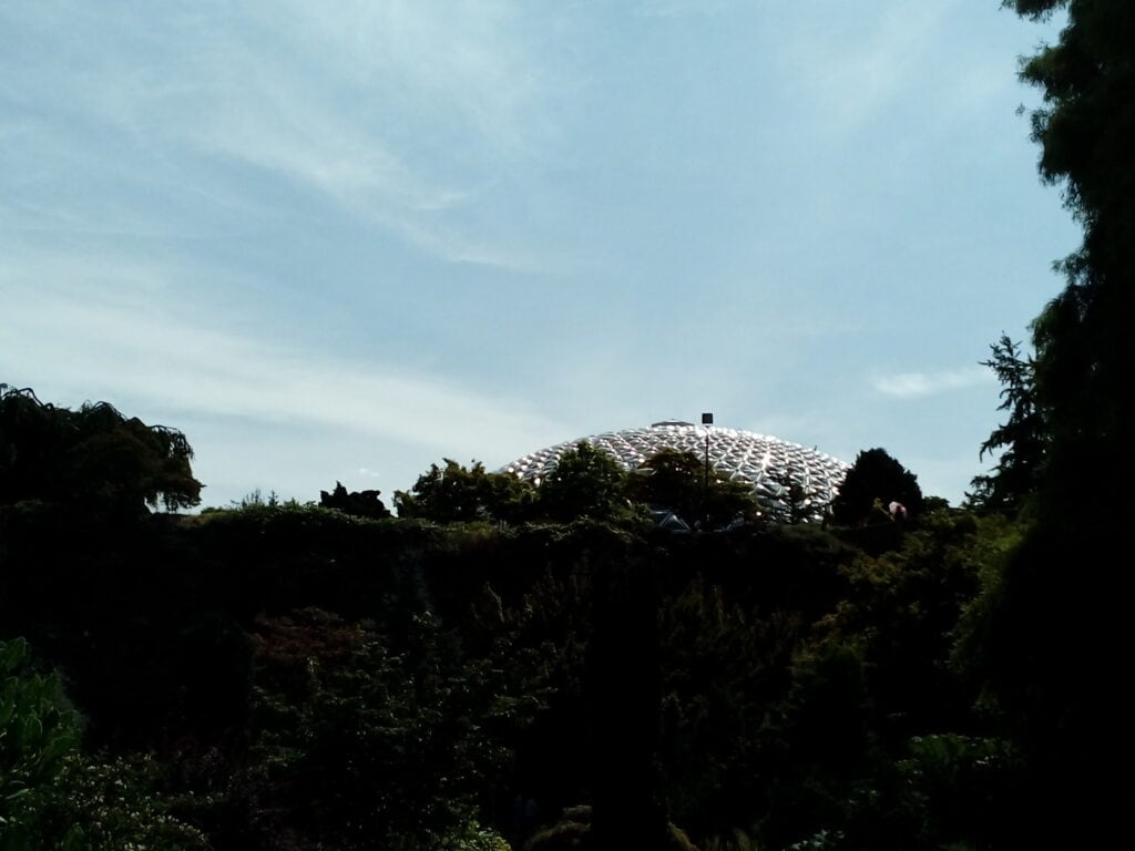 trees in the shadows in foreground, clear dome peeking out behind them (bloedel conservatory) and blue sky with streaks of clouds in the background.