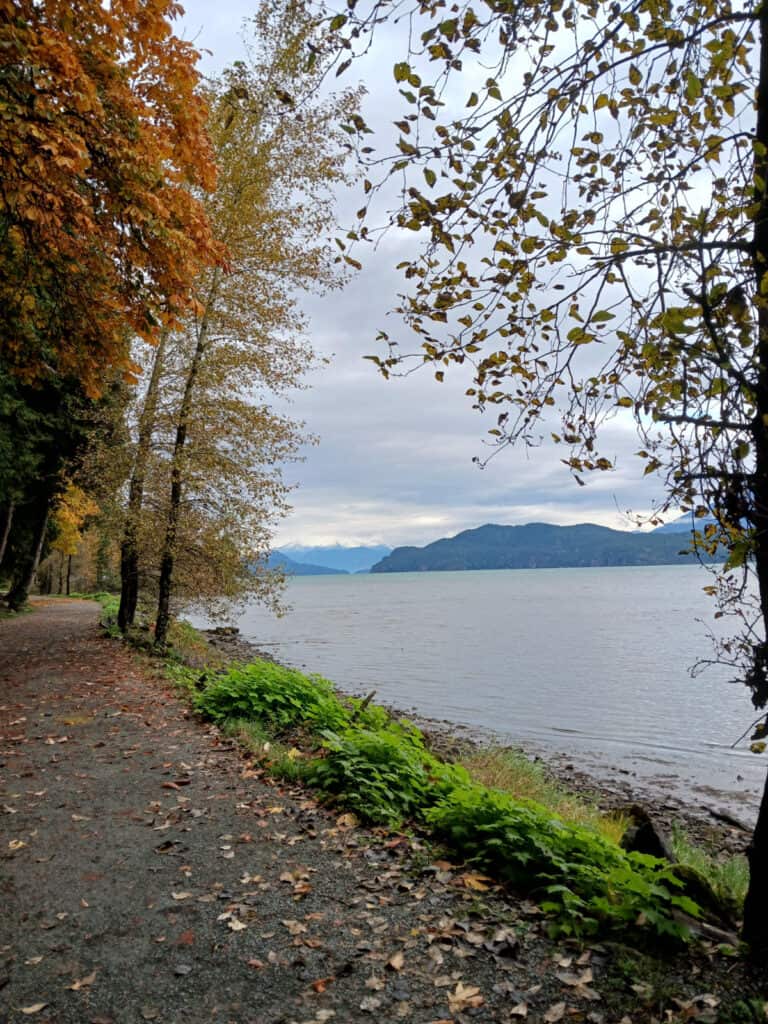 gravel trail along the side of harrison lake with trees in fall colors